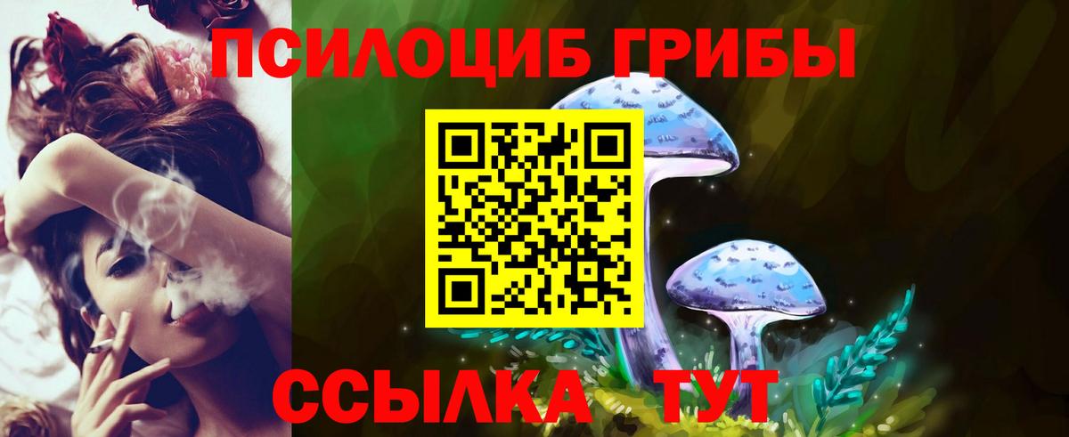 Псилоцибиновые грибы Psilocybe Муравленко